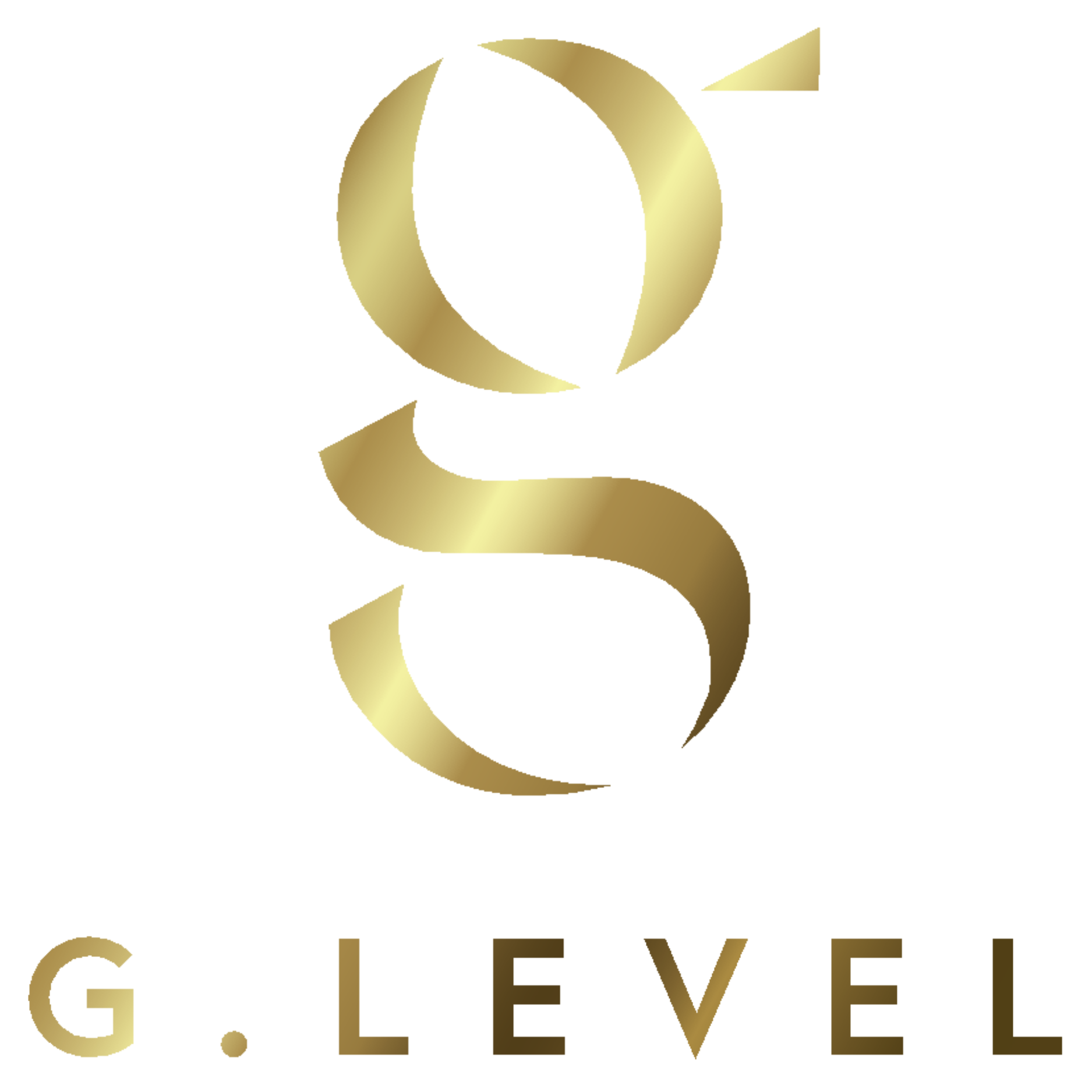 G-Level NV logo