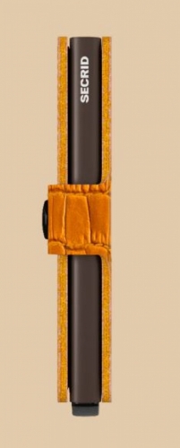  Cleo Ochre-Brow
