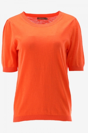  0250 ORANGE