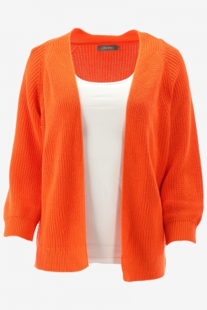  250 ORANGE
