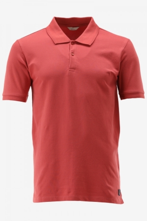 BOWIE 447 faded rose