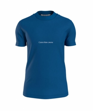 INSTITUTIONAL TEE C3B TARPS BLUE