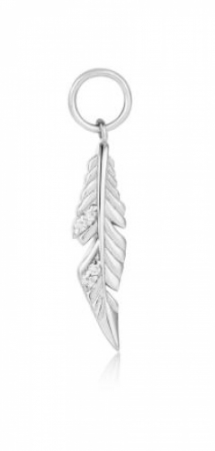  RHODIUM