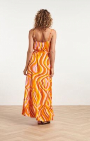  ORANGE-MULTI