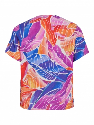  SHELL CORAL