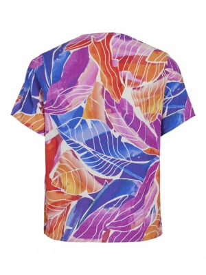  SHELL CORAL