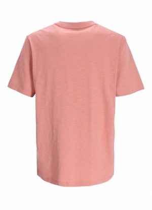  OPEN PINK