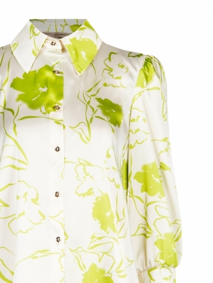  VAR LIME