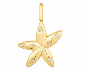  SHINY GOLD