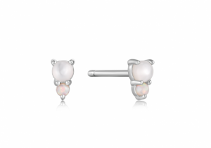  ZILVER