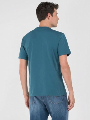  ATLANTIC GREEN