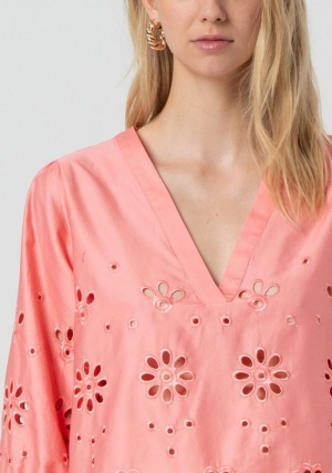  CORAL