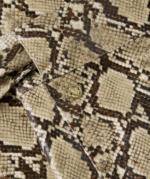  SNAKE