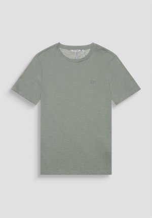  AGAVE GREEN
