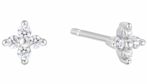  ZILVER