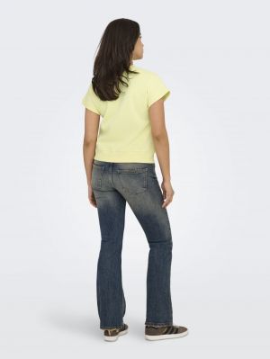  WAX YELLOW