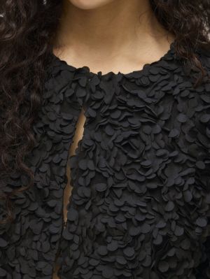  BLACK BEAUTY