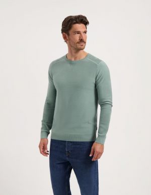  SILVER GREEN
