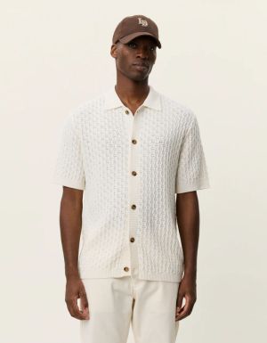  EGGNOG WHITE