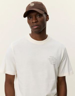  EGGNOG WHITE