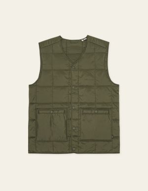  OLIVE NIGHT