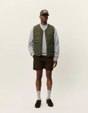  OLIVE NIGHT