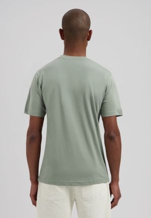  GREEN SHADOW