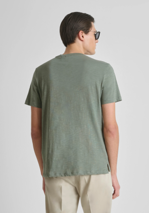  AGAVE GREEN