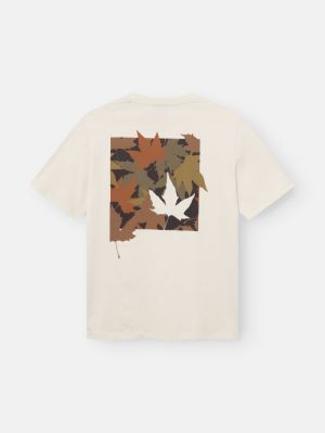  BIRCH