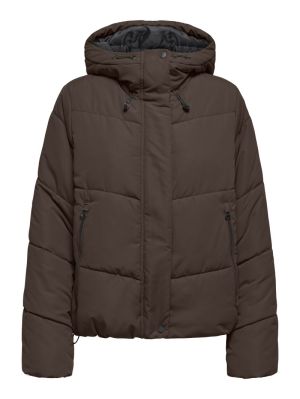  CHOCOLATE BROWN